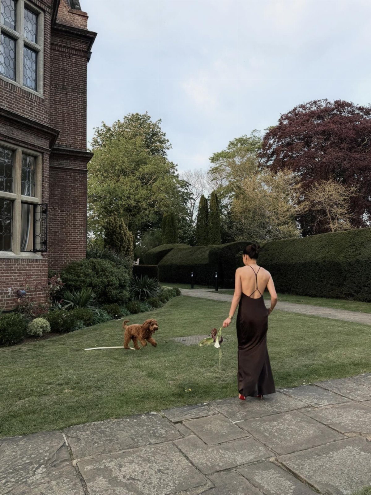 Woman in a dark brown backless dress walking across a green lawn with a small dog.