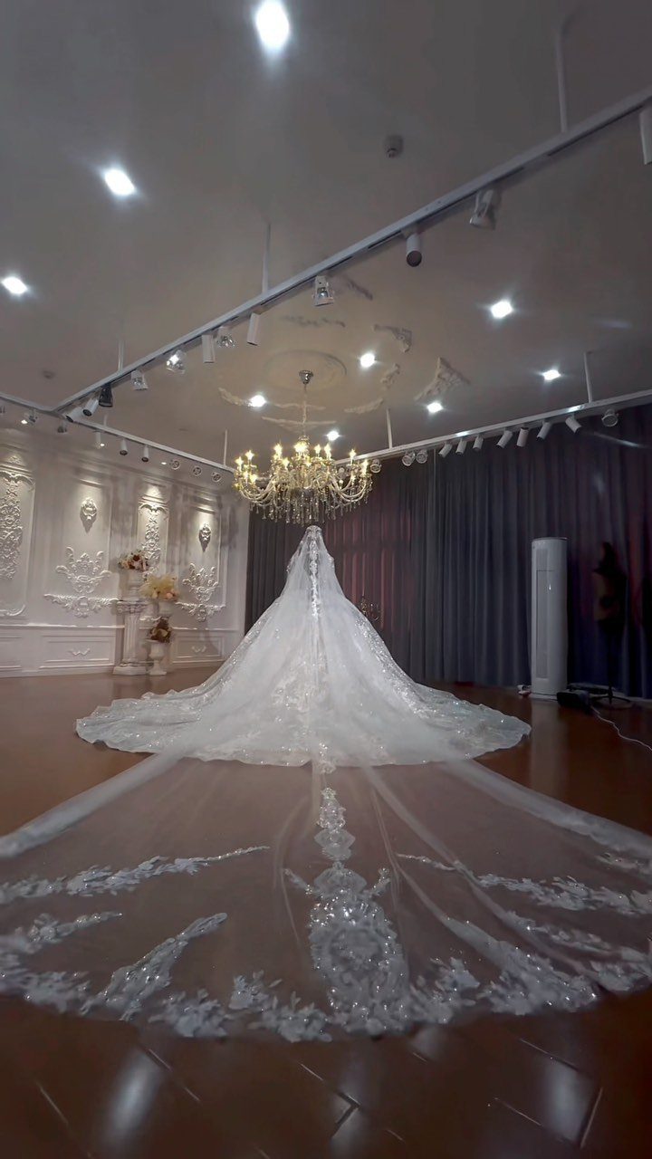 A long white wedding dress with an expansive, lace-detailed veil spread across the floor.